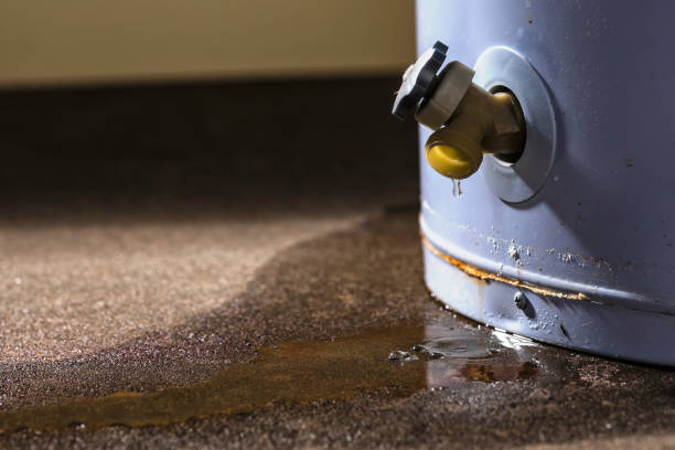 Reliable Shorewood Tower Hills Harbert, MI Water damage restoration Solutions