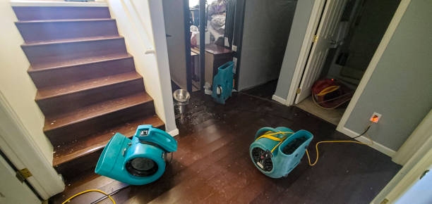 Best Carpet water damage restoration  in Shorewood Tower Hills Harbert, MI