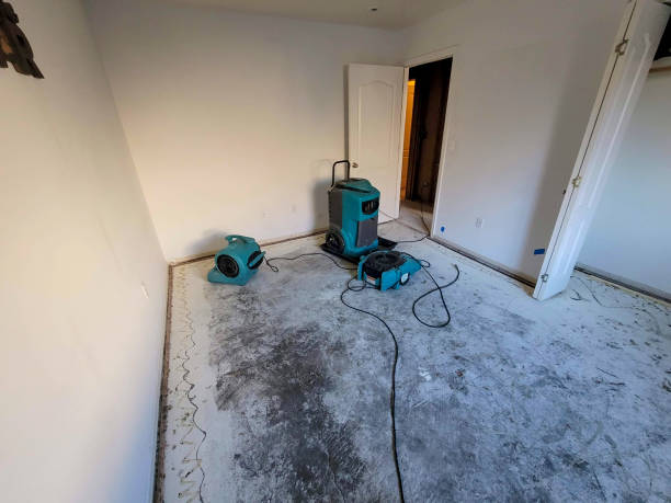 Best Fire Damage Restoration  in Shorewood Tower Hills Harbert, MI