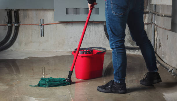 Best 24-hour water damage restoration  in Shorewood Tower Hills Harbert, MI