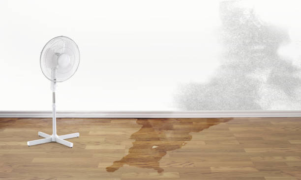  Shorewood Tower Hills Harbert, MI Water damage restoration Pros