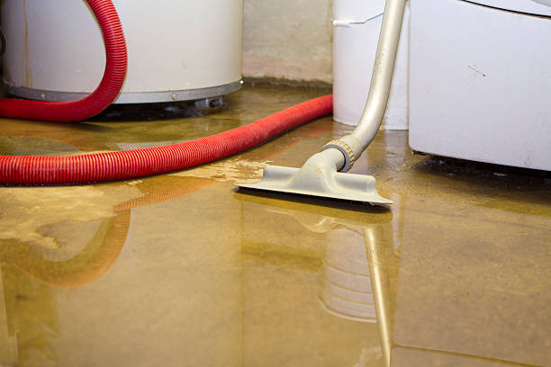 Best Flood restoration services  in Shorewood Tower Hills Harbert, MI